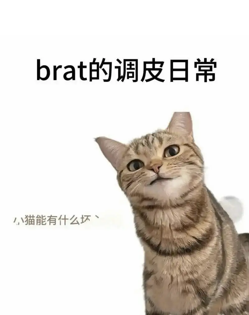 西檬之家-BDSM圈内术语详解与新人入圈指南