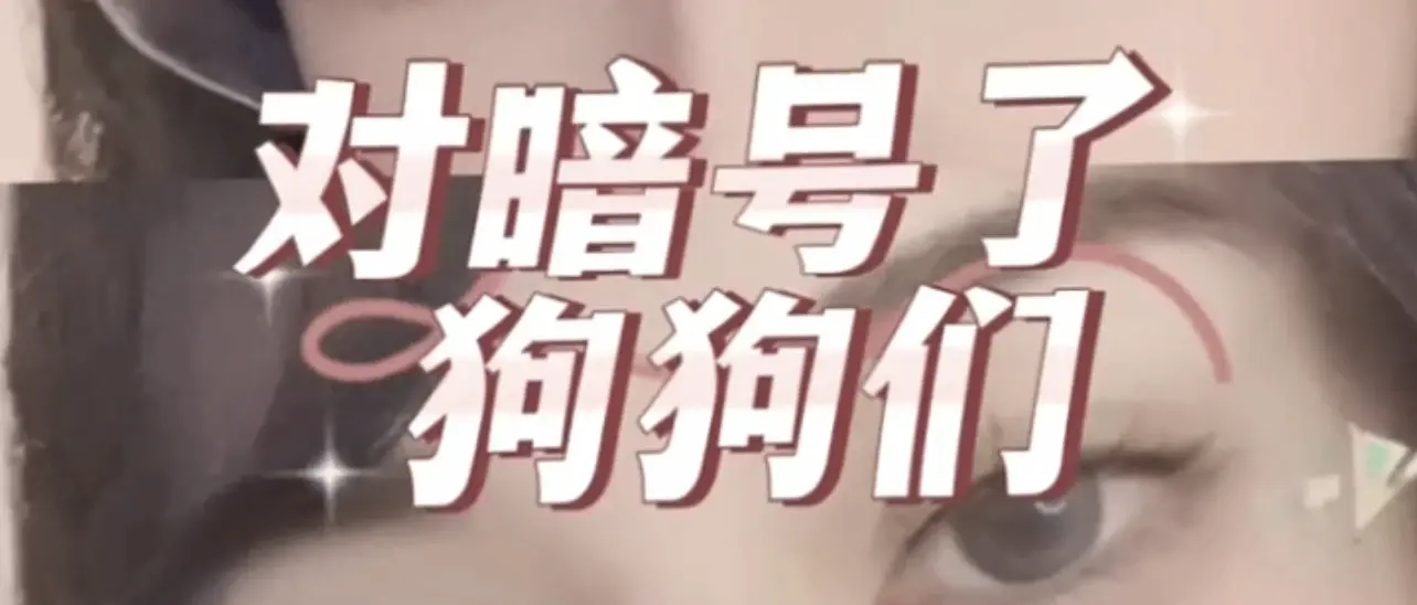 西檬之家：新手必知的BDSM术语速成指南