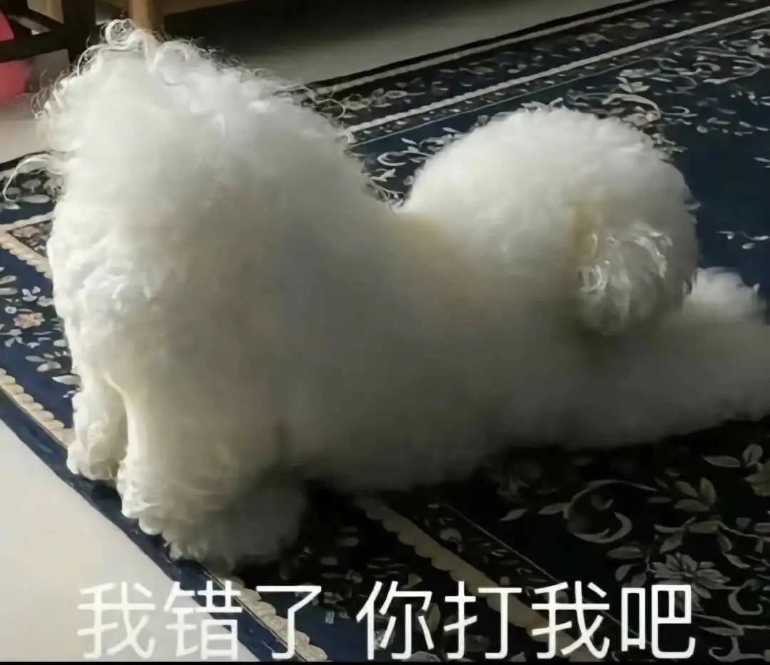 西檬之家-Sub是什么？BDSM字母圈新人入圈指南