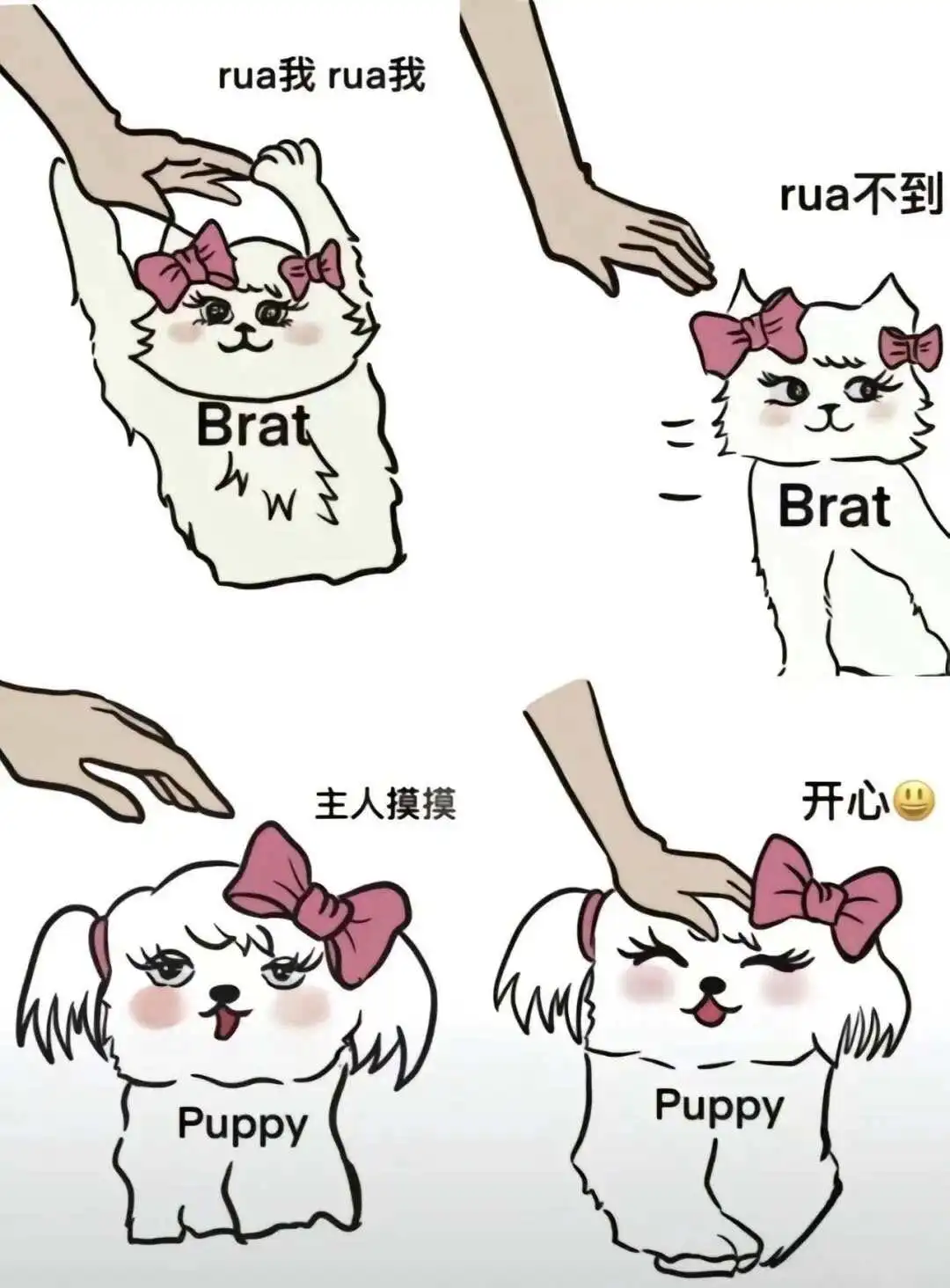 西檬之家-目前字母圈现状