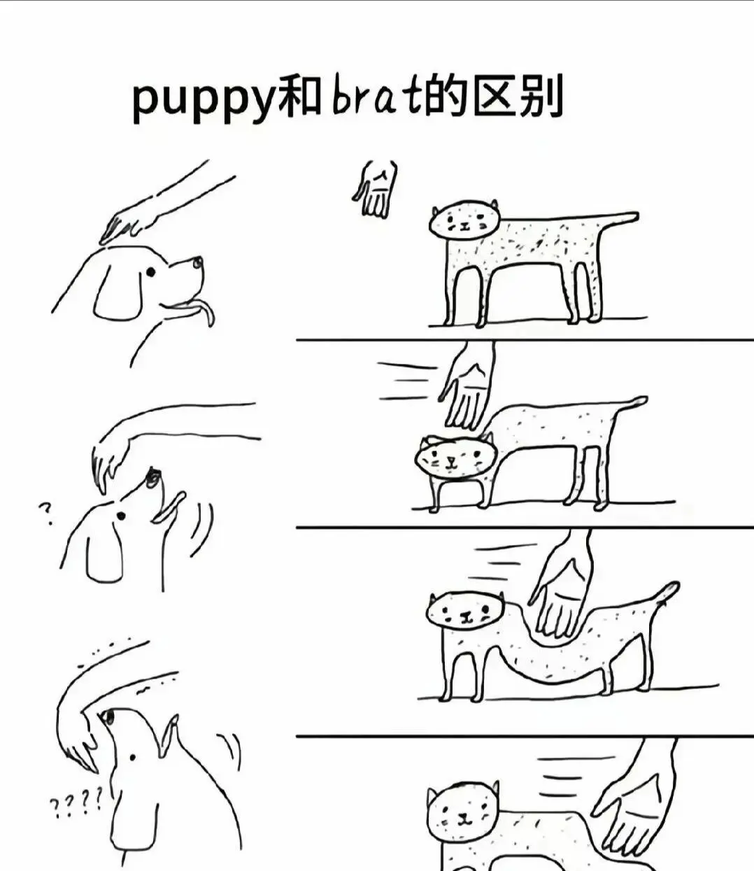 西檬之家-字母圈的Dom是什么意思？新人必读BDSM指南