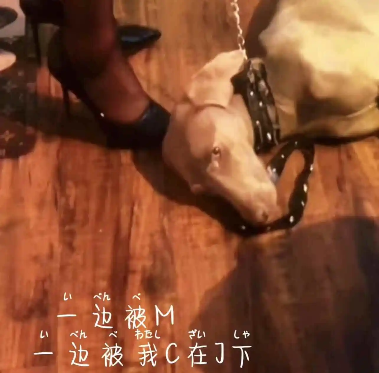 西檬之家-字母圈的恋足癖是什么？

西檬之家：解读BDSM亚文化中的恋足癖元素

欢迎来到檬味人间的字母圈指南系列。, 
"seo_title":"西檬之家-字母场的恋足癖",
"seo_keywords":"恋足癖, BDSM, 字母圈, SSC原则, 安全词, DomSub关系",
"seo_description":"本文解析恋足癖在BDSM领域的概念，结合SSC原则探讨实践与安全。适合新人的权威指南，强调同意与信任，控制在600字。字符数150个