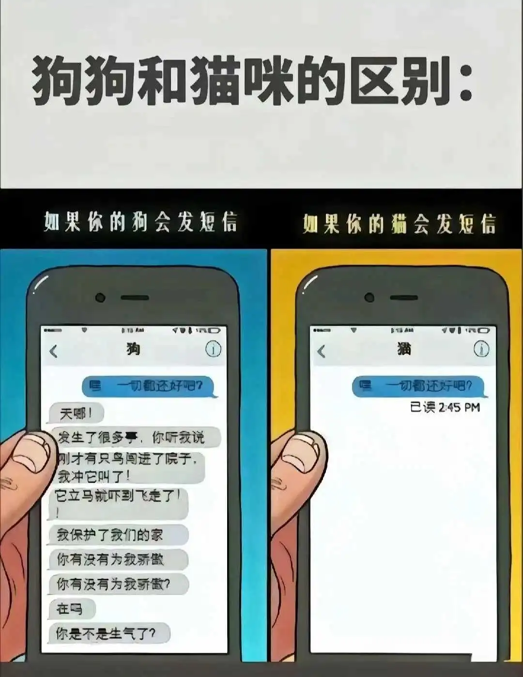 西檬之家-OTK是什么意思？深入解析字母圈跨膝文化