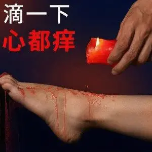 西檬之家：从零开始玩转字母圈，你需要了解的基础术语